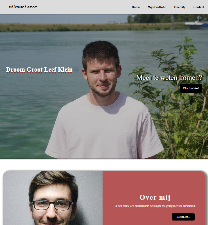 een schermafbeelding van de homepage voorbeeld portfolio website